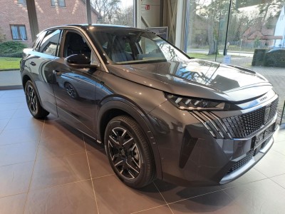 New 3008